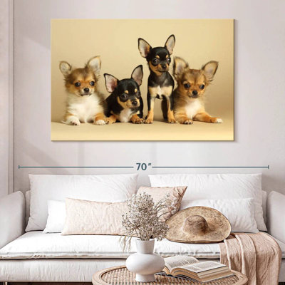 Adorables chiens chihuahua