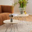 Coffee Table-337013657-337013656