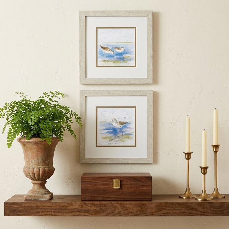 Ensemble de 2 oiseaux encadrés aquarelle