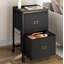 39.9cm Wide 2 -Drawer Mobile File Cabinet