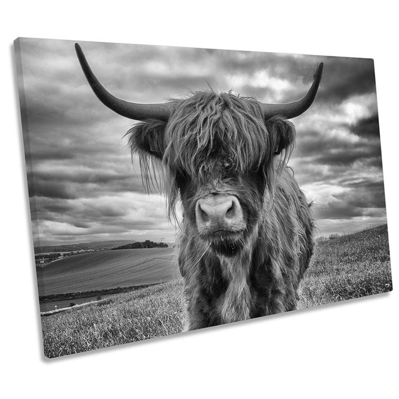 Highland Cow B And W - Wrapped Canvas Print, 30.5cm H x 45.7cm W