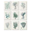 Arrangement de coraux profonds, plante de l'océan bleu par Johann Esper-70677950-70677951