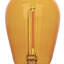 Ampoule à filament omnidirectionnel vert S14 de 2 watts (équivalent à 40 watts) à culot moyen (E26), paquet de 2-134877022-134877023