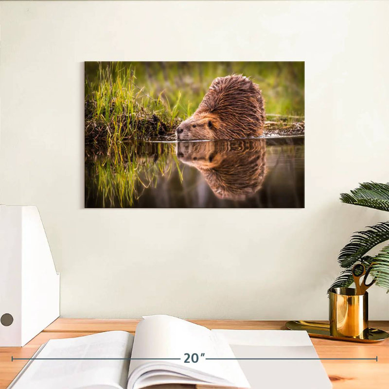 Beaver, 8" H x 12" W