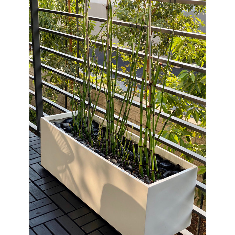 Cogburn Belmont Rectangle Planter Box, White, 10" H x 30" W x 10" D