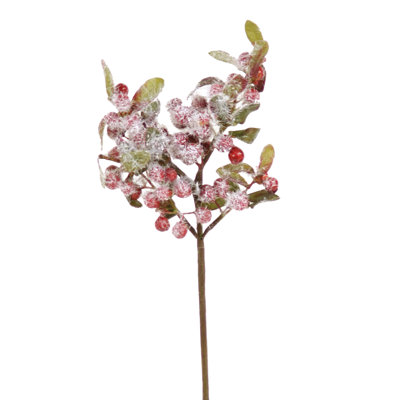 Berry Arrangement