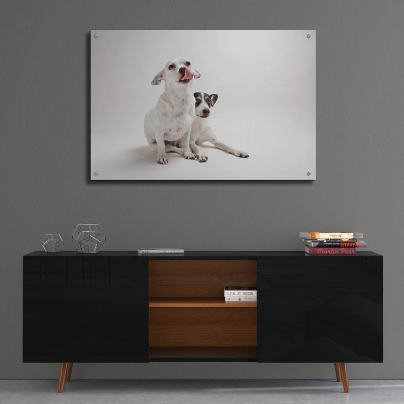 «Mouse Jack», H 24 po x l 36 po x P 0,2 po