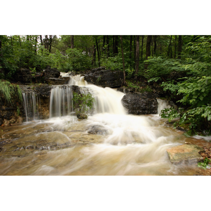 Woods by Tjmacphoto - Wrapped Canvas Print, 20cm H x 30cm W