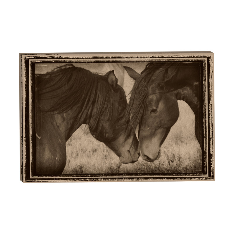 Chevaux muselant 24 x 36