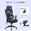 Mesh Office Chair