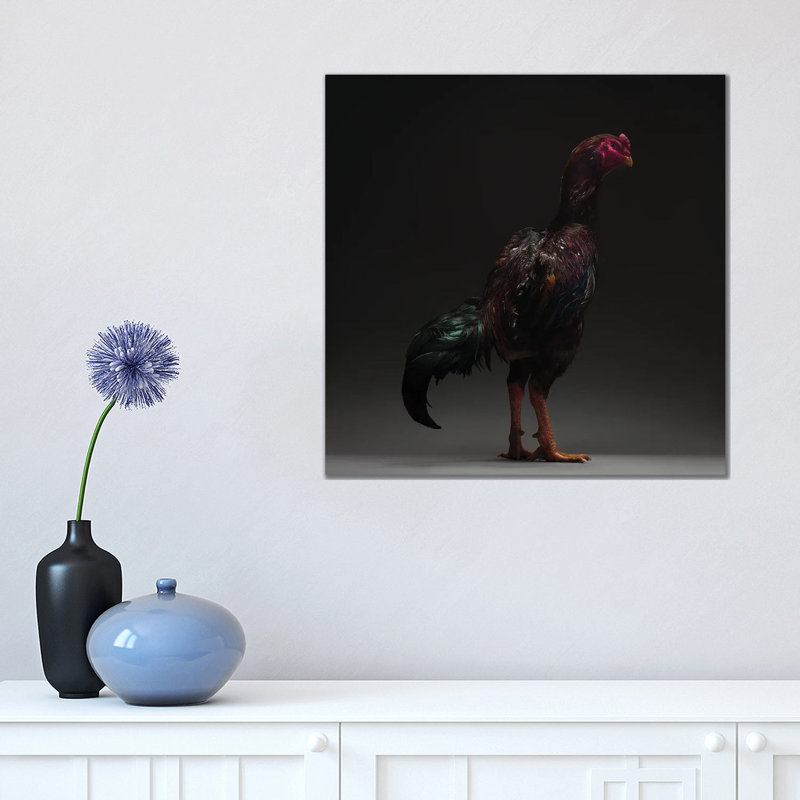Ko Shamo - Wrapped Canvas Print, 45.72 cm H x 45.72 cm W x 1.91 cm D