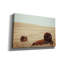 «Tall Grass Bison» par Nathan Larson, art mural sur toile-1450343874