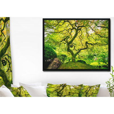 «Amazing Green Tree», reproduction de photo sur toile tendue encadrée
