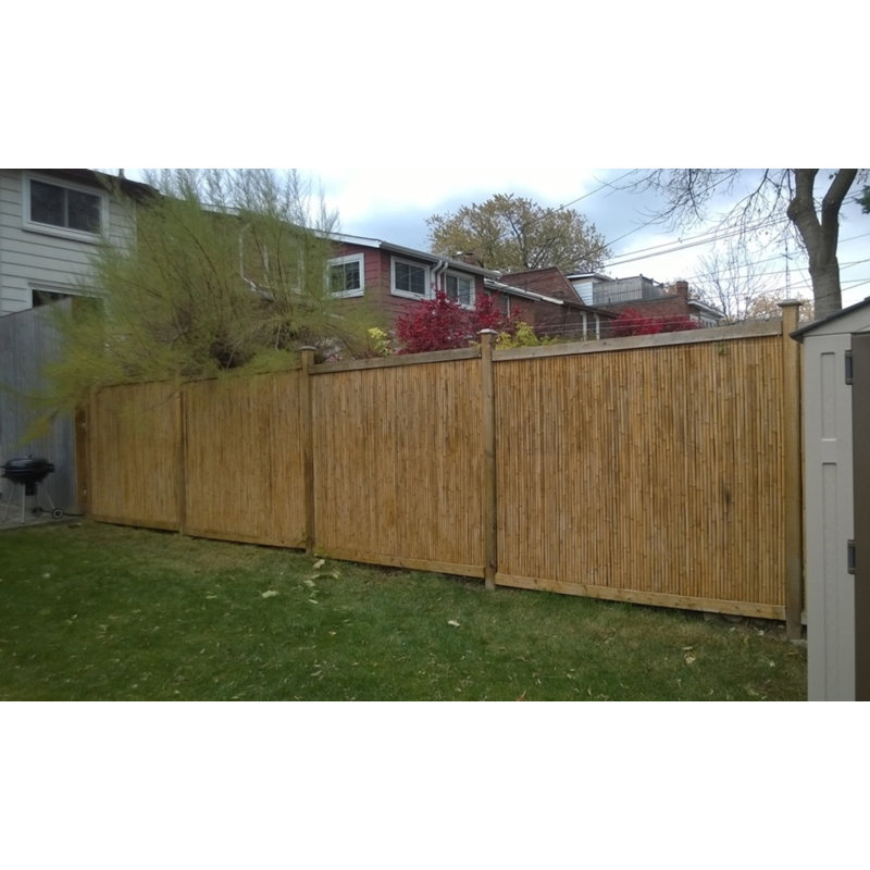 Tonkin Bamboo Decorative Garden Border Fence, 8'L x 5'H