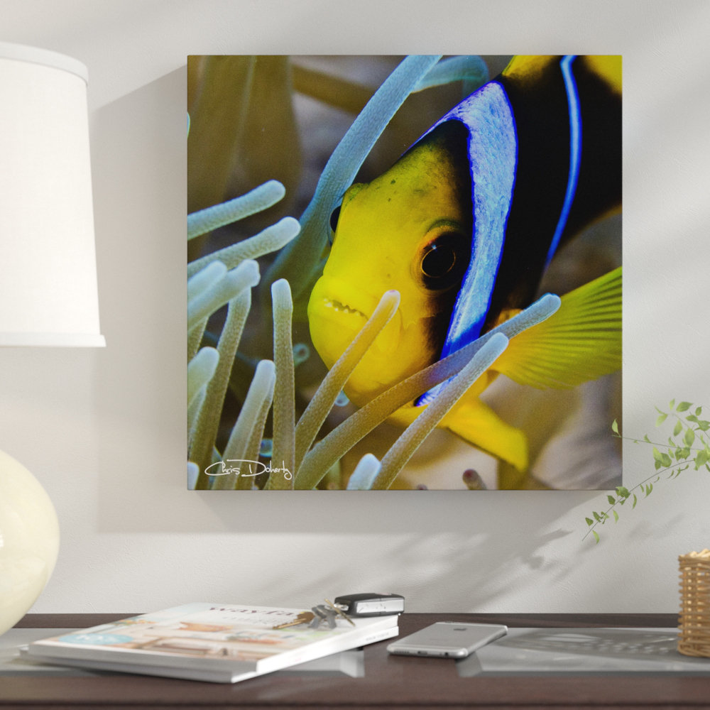 'Underwater Rays' Photographic Print on Wrapped Canvas East Urban Home