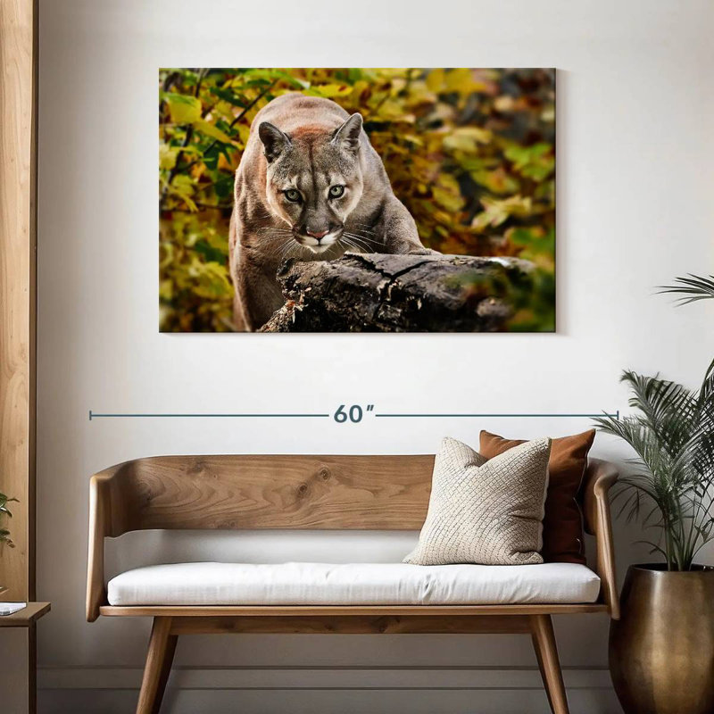 Brampt Hunting Cougar, 30" H x 45" W
