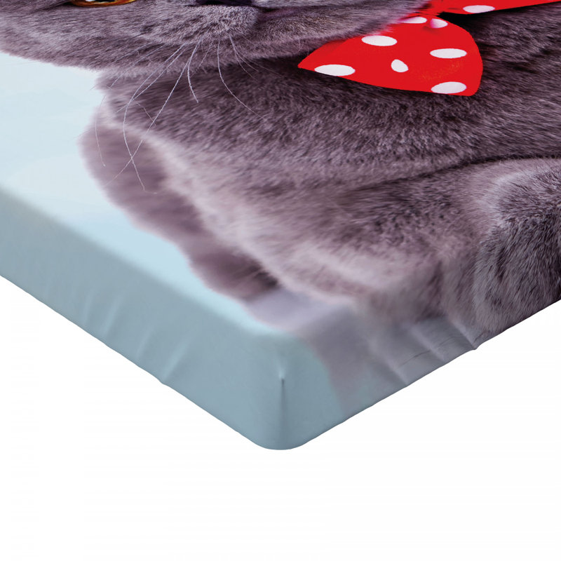 Microfiber Jersey Knit Fitted Sheet, European Kingsize (160 x 200cm)