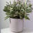Parsons Handmade Ceramic Pot Planter-94670975-94670979
