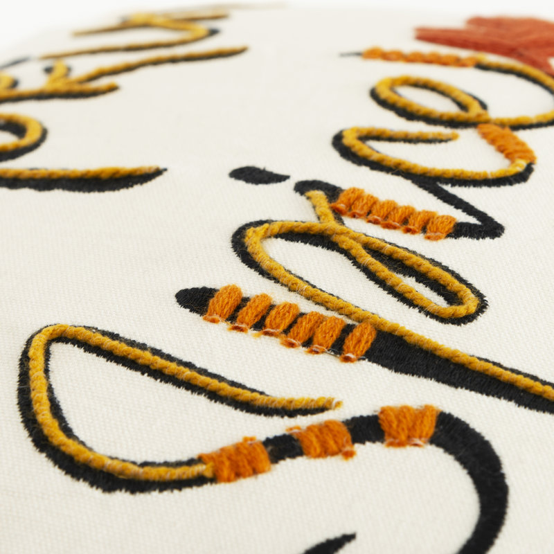 Embroidered Cotton Throw Pillow