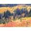 Paradise Valley Autumn Print by Bruce Heinemann-65849018-65824828
