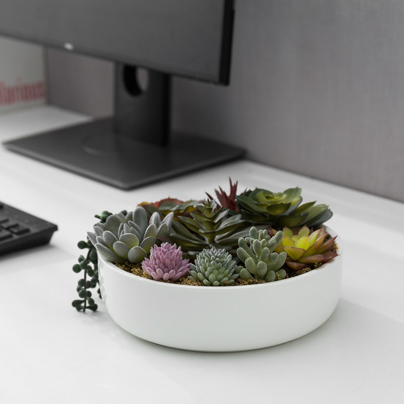 Plante grasse artificielle 1,8 po en pot