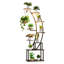 Support pour plante d'intérieur à 9 niveaux avec lumières de culture, support de coin en métal, luminosité et minuterie réglables, idéal pour le salon et le balcon