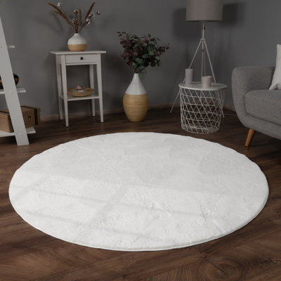 Dagoberto Uniform Color Shag Area Rug