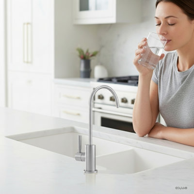 Modern Faucet Stylish Lodi One-Handle Cold Water Tap Faucet