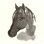 Araldo " Horse Portrait II " by Chris Paschke