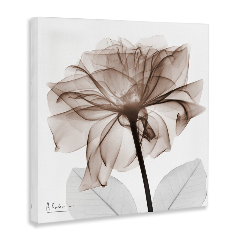 Opaque Rose Blossom Canvas Wall Art, design by Albert Koetsier, 36" H x 36" W