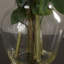 Arrangement floral orchidées et pivoines dans un vase-99224086