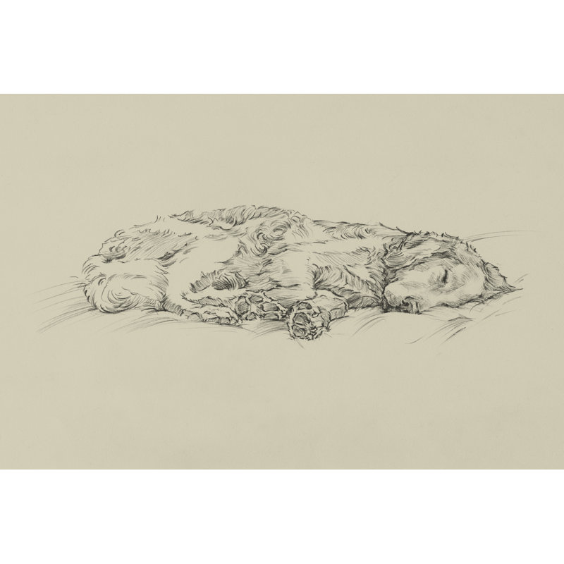 Golden Sketch III by Ethan Harper - Wrapped Canvas Print, 61cm H x 91cm W x 3.8cm D