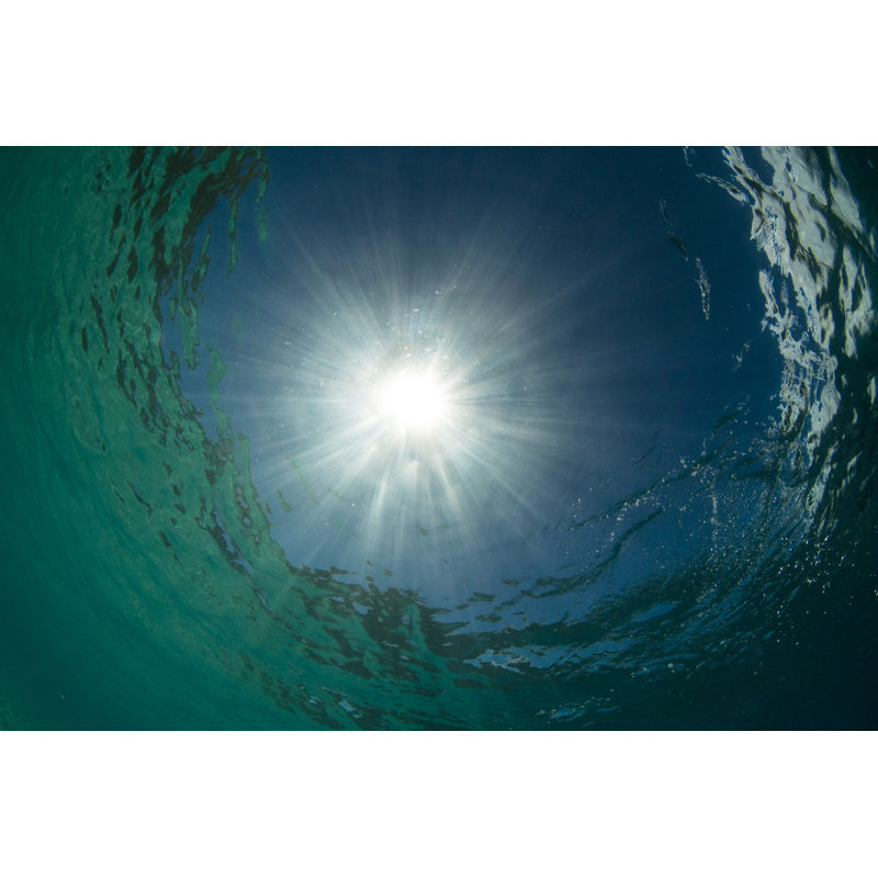 Underwater View by Global_Pics - Wrapped Canvas Print, 30cm H x 46cm W