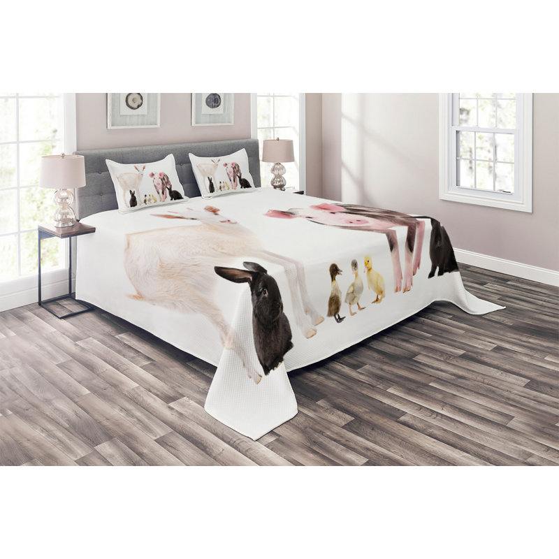 Farmhouse / Country Polyester Coverlet, Queen Bedspread + 2 Shams