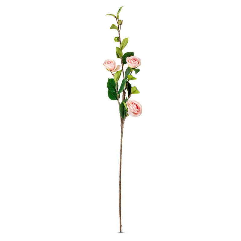 Sophia Roses Floral Arrangement