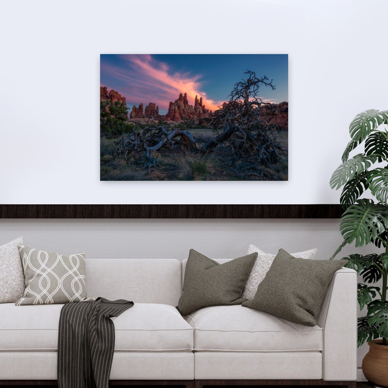 Arbre torsadé, désert, coucher de soleil coloré, paysage serein dramatique, impression d'art mural, H 48 po x l 32 po