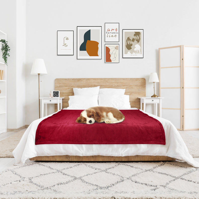 Couverture chauffante en flanelle électrique HBT, Rouge, L 60 po x l 50 po