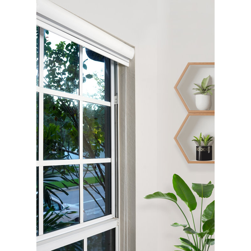 Ahyaan Sheer Roller Shade, 34"W x 78"L, White