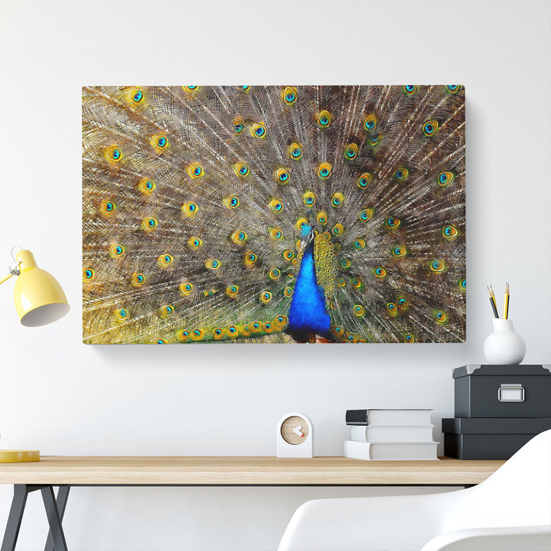 Peacock Vol.1 - Wrapped Canvas, 40cm H x 60cm W x 3cm D