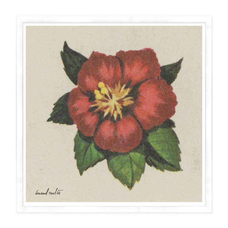 Floral Wall Art: Red Blossom Framed On Paper Print