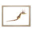 Illustration of a Seahorse by F.E. Clarke - Picture Frame Painting Print-55579682-55579683