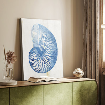 Coquille IV - Cavas enveloppés de galerie