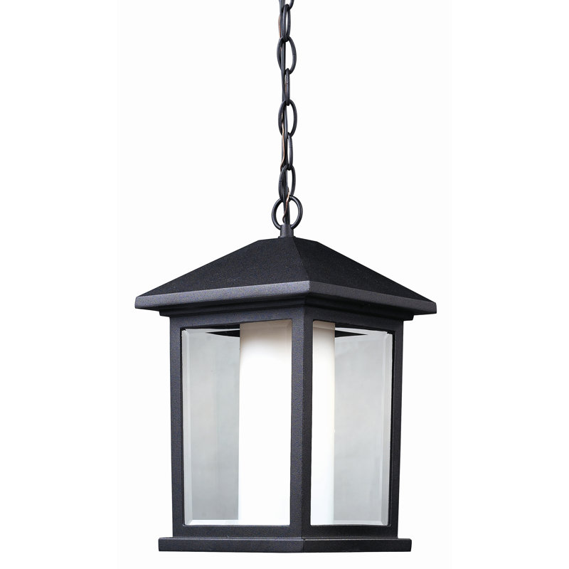 Lanterne suspendue d'extérieur à 1 ampoule H 13,5 po Anneliesse, Noir