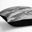 Dragon Square Throw Cushion-56357536-56357532