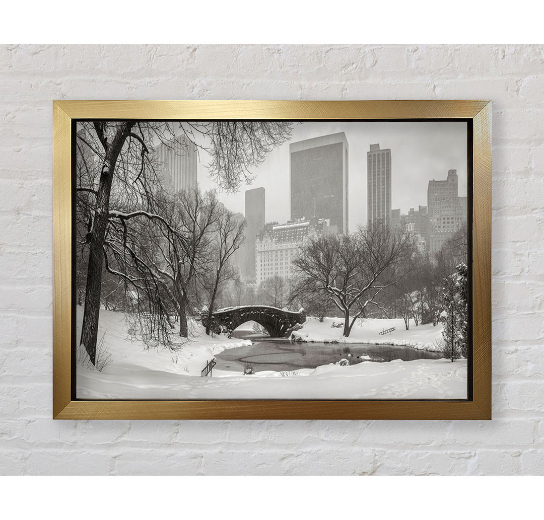 Winter Snow In Central Park - Einzelne Bilderrahmen Kunstdrucke