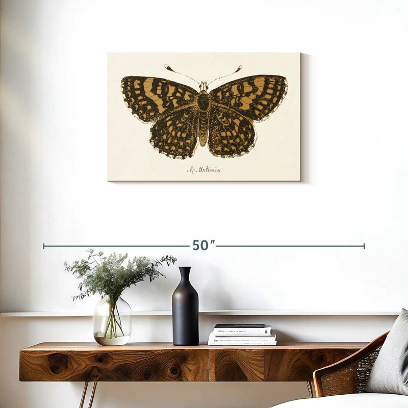 Antique Butterfly II, 20" H x 30" W