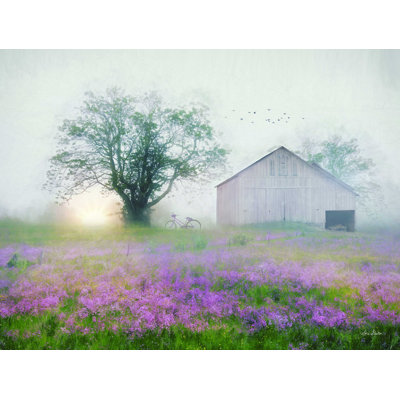 " Summer Sunrise "