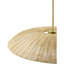 Luminaire suspendu Evonna Jeffon