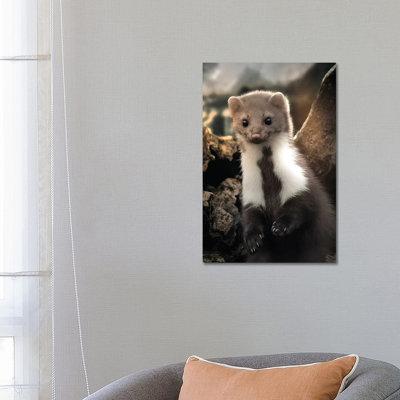 The Cute Weasel by Zenja Gammer - Print on Canvas
