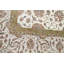 Oriental Area Rug in Ivory